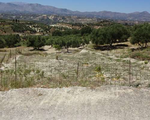 εικόνα ακινήτου