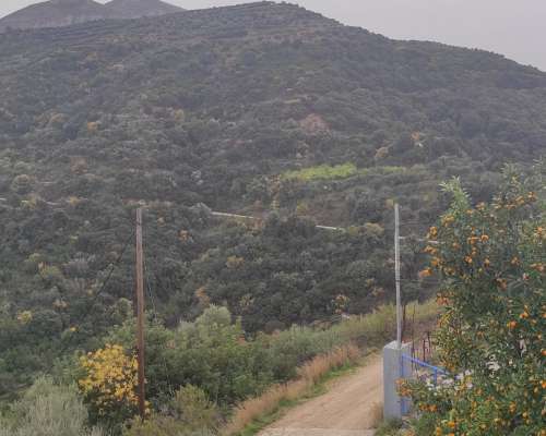 φωτογραφία ακινήτου