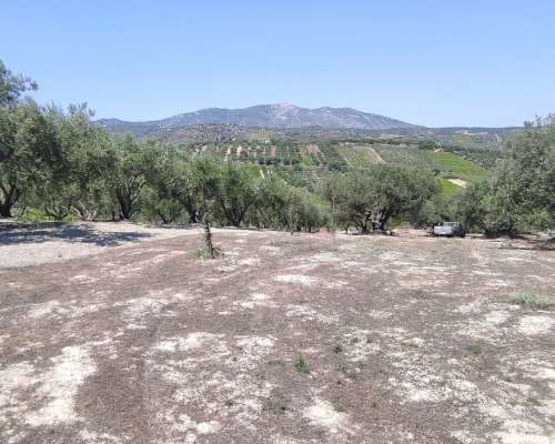 φωτογραφία ακινήτου