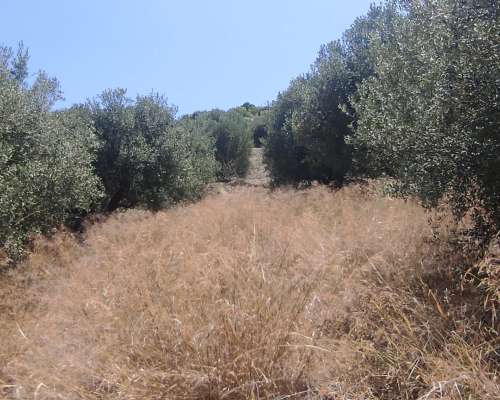 φωτογραφία ακινήτου