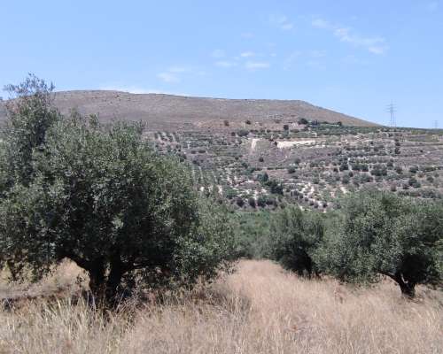 φωτογραφία ακινήτου