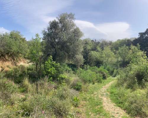 εικόνα ακινήτου