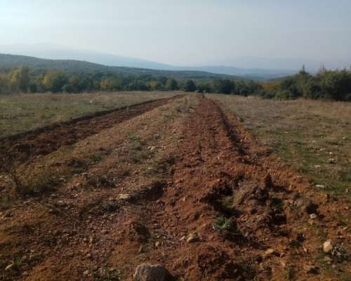 φωτογραφία ακινήτου
