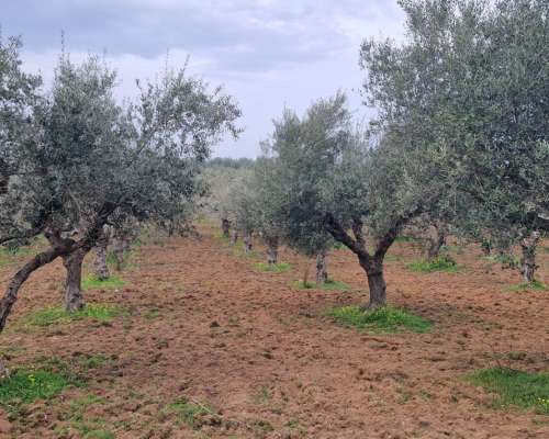 εικόνα ακινήτου