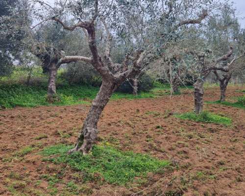 φωτογραφία ακινήτου