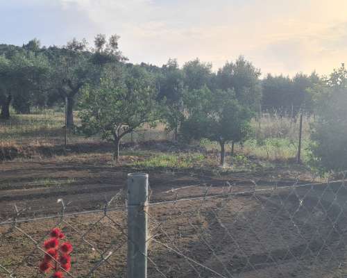 φωτογραφία ακινήτου