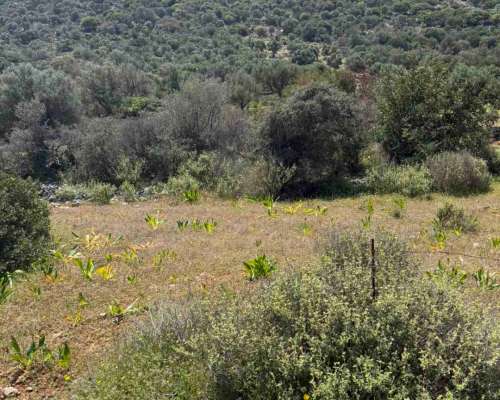 φωτογραφία ακινήτου