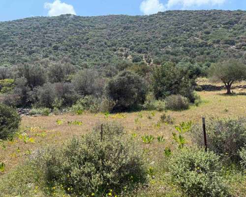 εικόνα ακινήτου