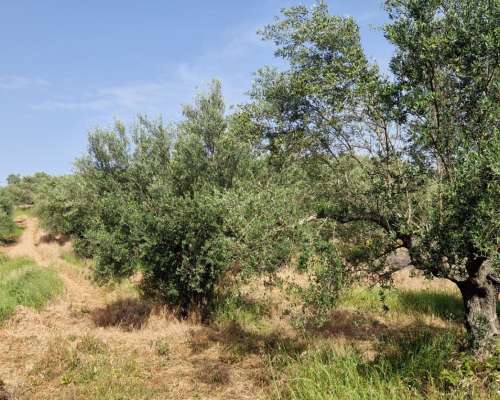 εικόνα ακινήτου
