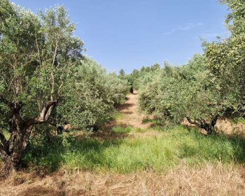 φωτογραφία ακινήτου