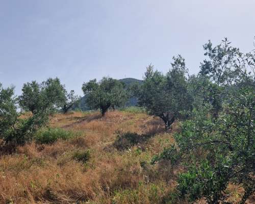 φωτογραφία ακινήτου