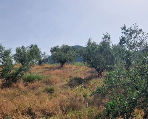 φωτογραφία ακινήτου