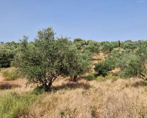 φωτογραφία ακινήτου