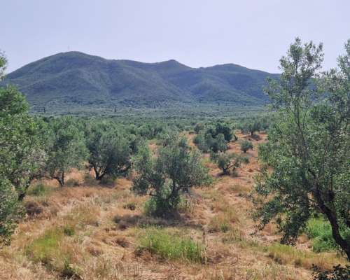 εικόνα ακινήτου