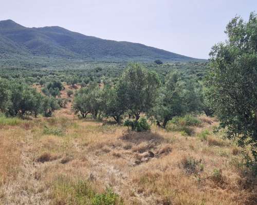 φωτογραφία ακινήτου