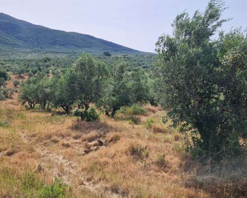 φωτογραφία ακινήτου