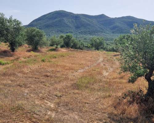 φωτογραφία ακινήτου