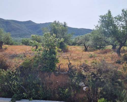 φωτογραφία ακινήτου