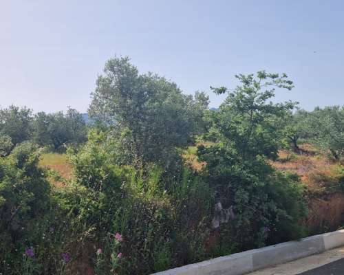 φωτογραφία ακινήτου