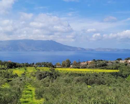εικόνα ακινήτου
