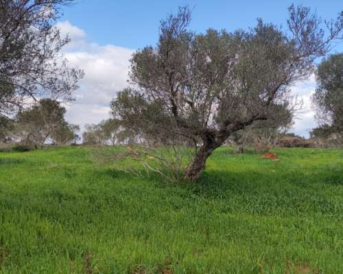 φωτογραφία ακινήτου