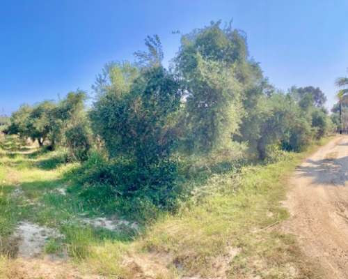 εικόνα ακινήτου