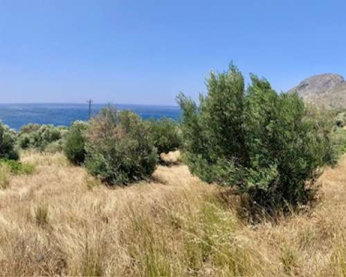 φωτογραφία ακινήτου