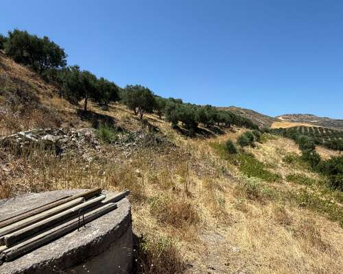 φωτογραφία ακινήτου