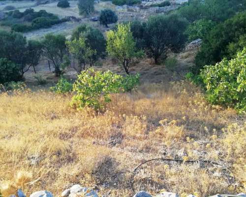 εικόνα ακινήτου