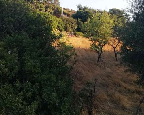φωτογραφία ακινήτου