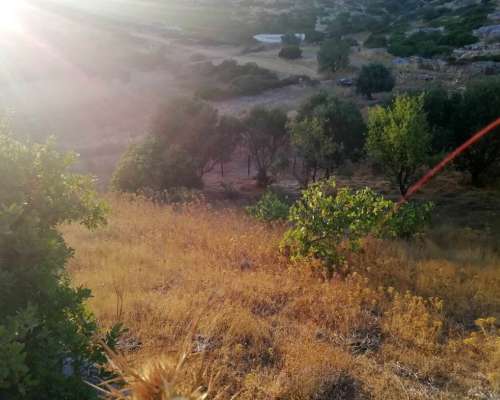 φωτογραφία ακινήτου