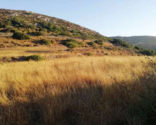 εικόνα ακινήτου