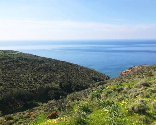 φωτογραφία ακινήτου