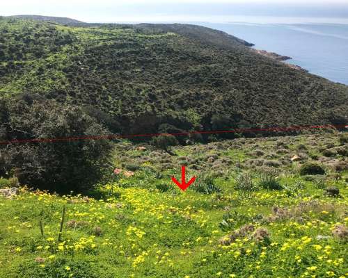 φωτογραφία ακινήτου