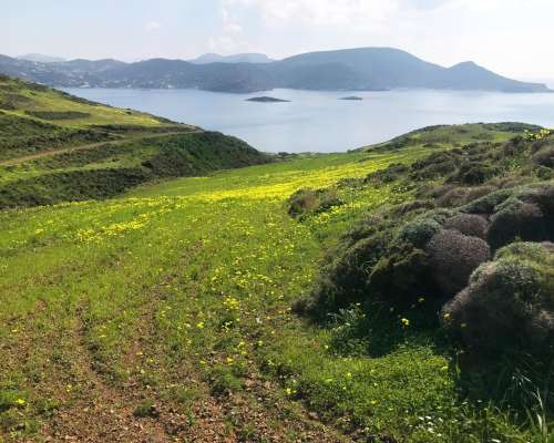 φωτογραφία ακινήτου