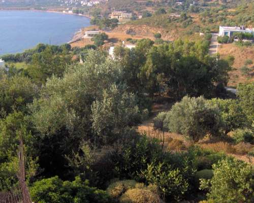 φωτογραφία ακινήτου