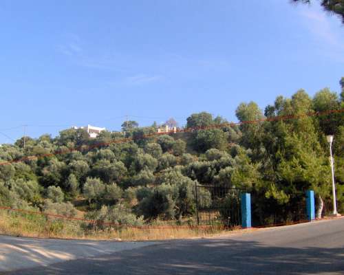 φωτογραφία ακινήτου