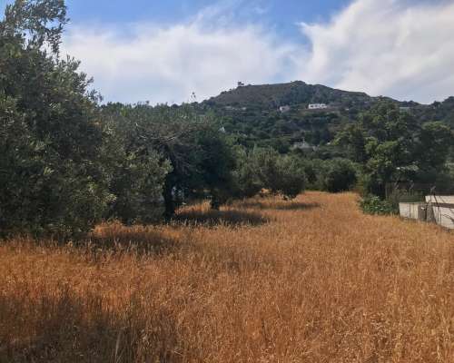 φωτογραφία ακινήτου