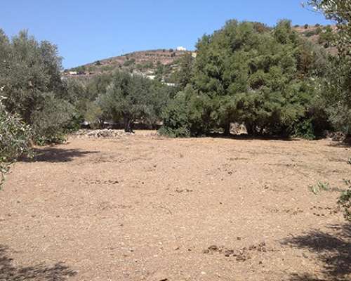 εικόνα ακινήτου
