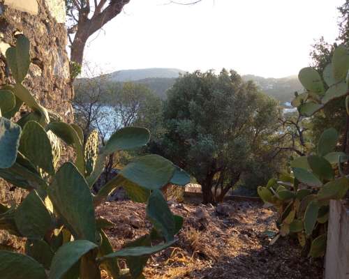 φωτογραφία ακινήτου