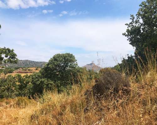 φωτογραφία ακινήτου