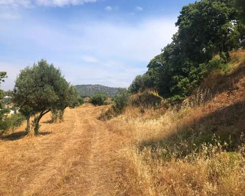 φωτογραφία ακινήτου