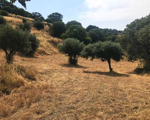 φωτογραφία ακινήτου