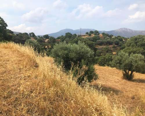 φωτογραφία ακινήτου