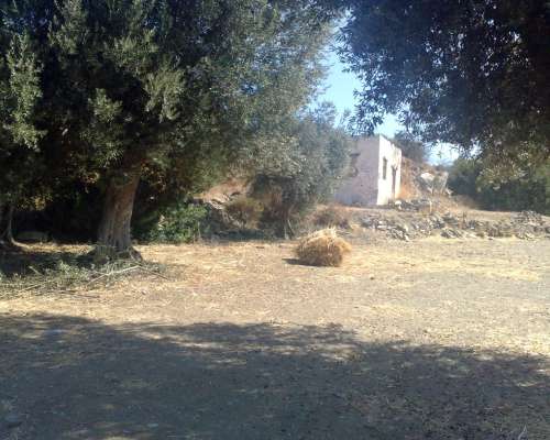 φωτογραφία ακινήτου