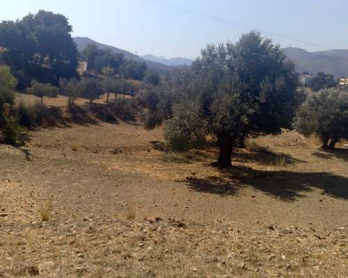 φωτογραφία ακινήτου