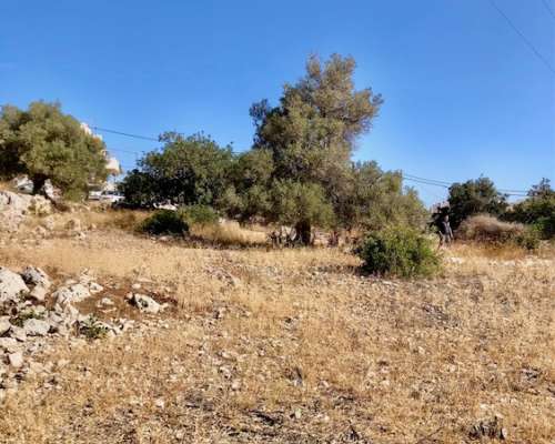 φωτογραφία ακινήτου