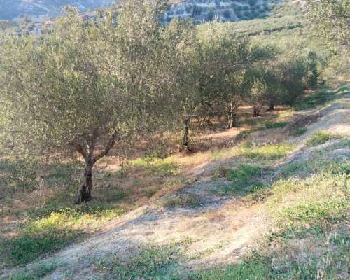 φωτογραφία ακινήτου