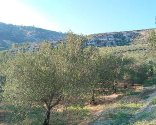φωτογραφία ακινήτου