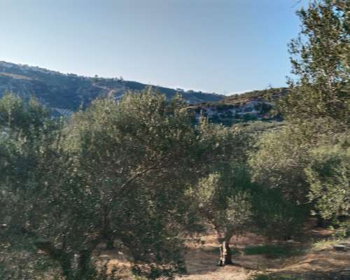 εικόνα ακινήτου